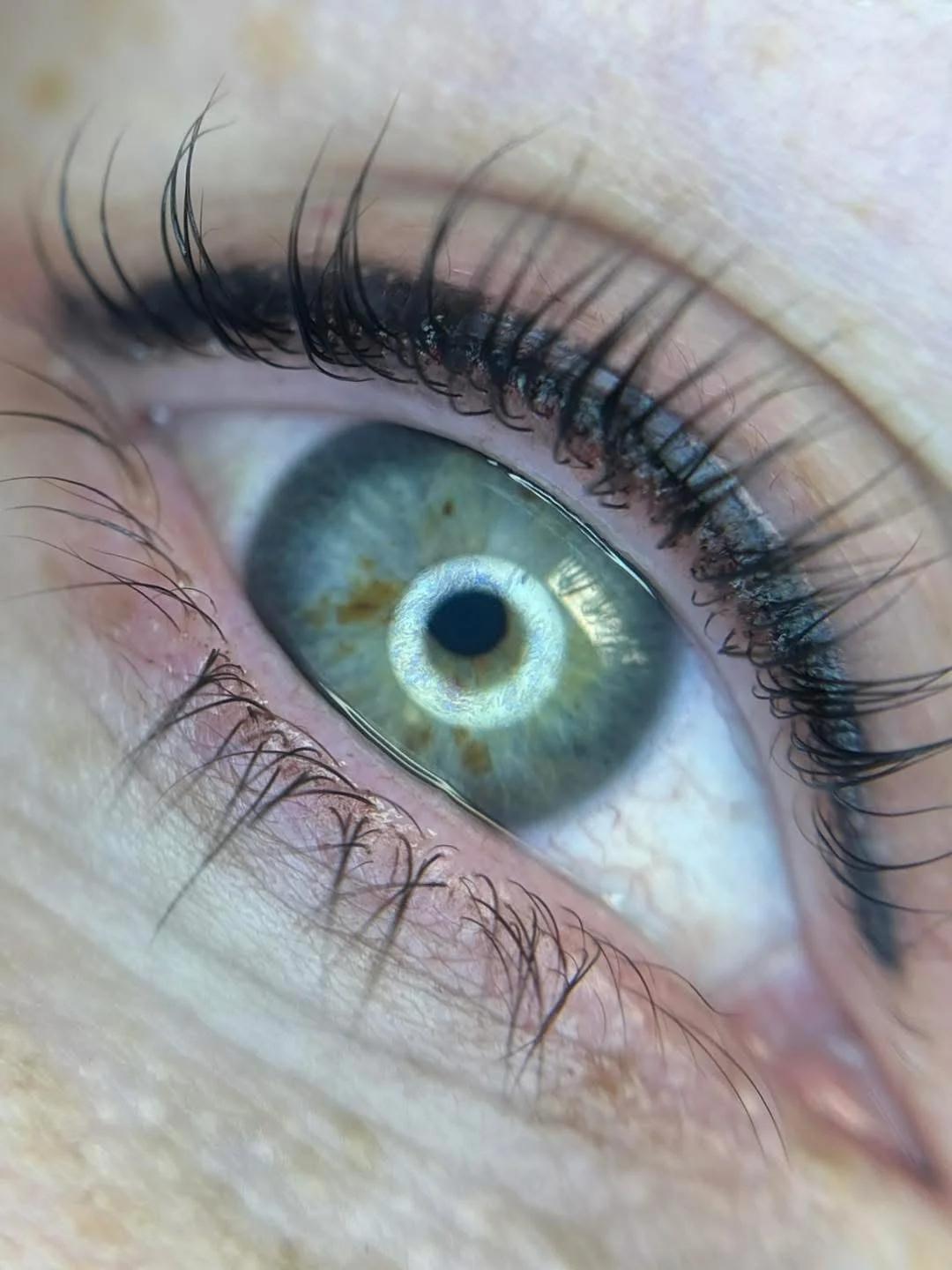 Service Menu Gallery Img ~ 19